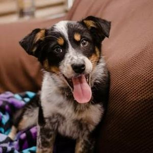 Meet your Posher, Maura